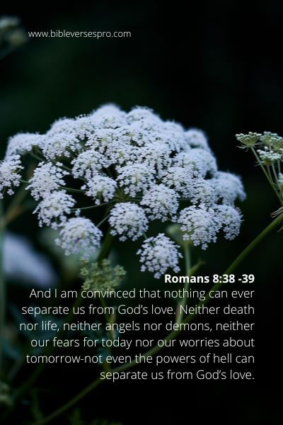 Romans 8-38 -39