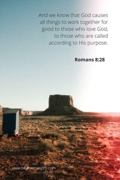 Romans 8_28 - All to the Glory of God