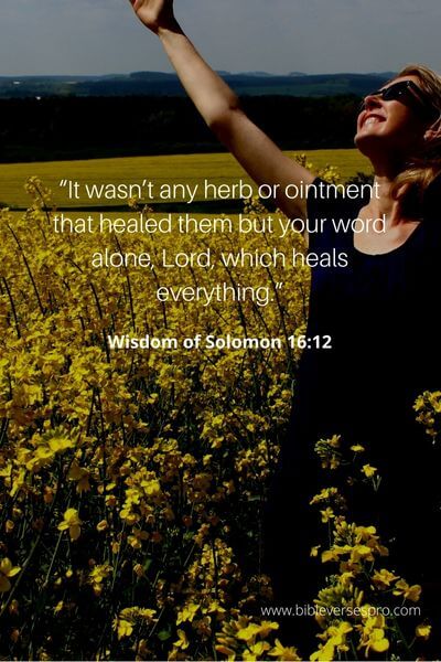 Wisdom Of Solomon 16_12
