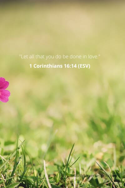 1 Corinthians 16-14 - Let love lead.