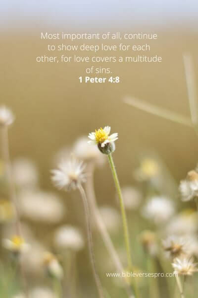 1 Peter 4-8 - Love And Affection.