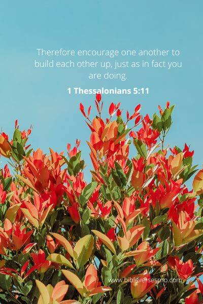 1 Thessalonians 5-11 - Encouraging Your Soulmate.