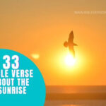 BIBLE VERSE ABOUT THE SUNRISE