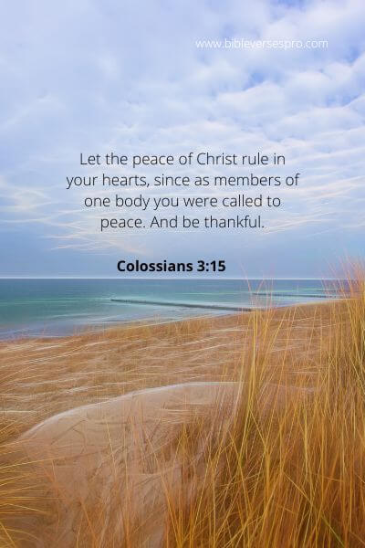 Colossians 3-15 - Let your heart be in peace.