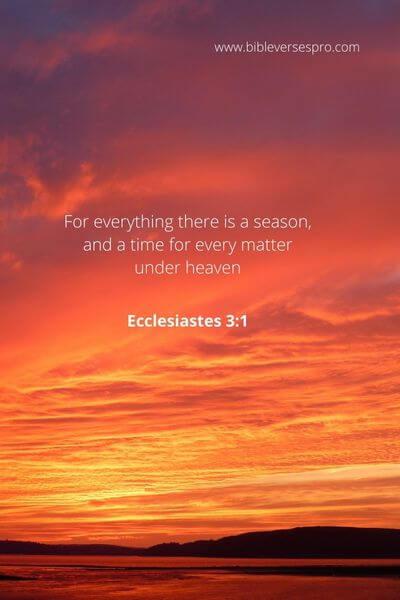 Ecclesiastes 3_1 - There Is A Season To See Your Loved Ones.