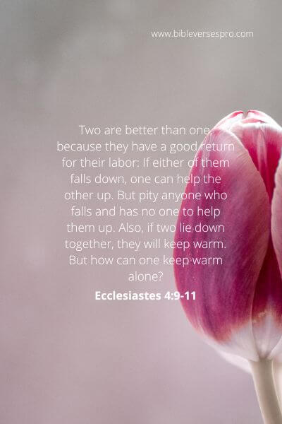 Ecclesiastes 4-9-11 - You Are Better Off With Your Soulmate.