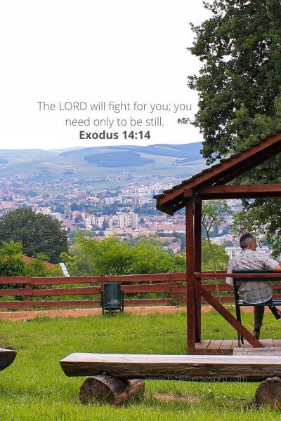 Exodus 14-14 - Building trust and confidence in God.