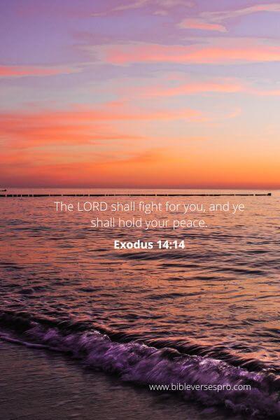 Exodus 14-14 - Hold your peace.