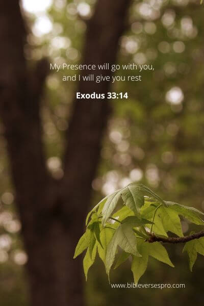 Exodus 33-14