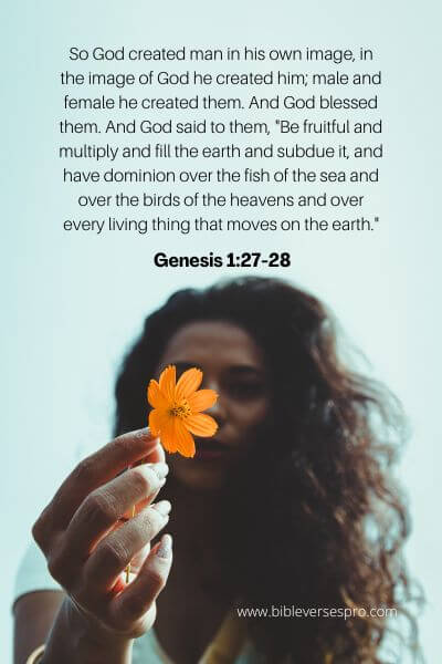 Genesis 1-27-28 - Love Yourself.