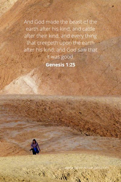 Genesis 1:25 - Sincerity In Prayers.