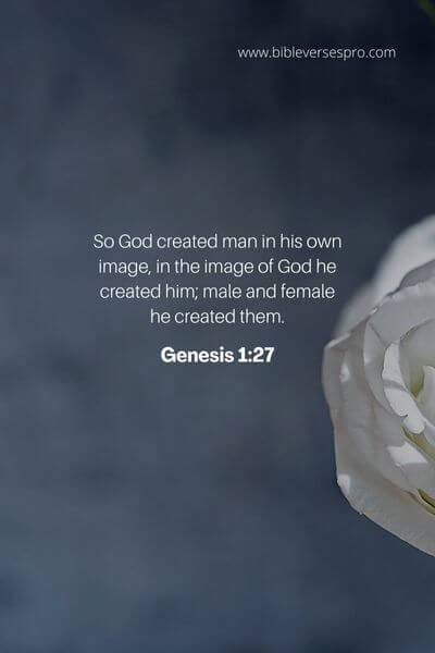 Genesis 1_27