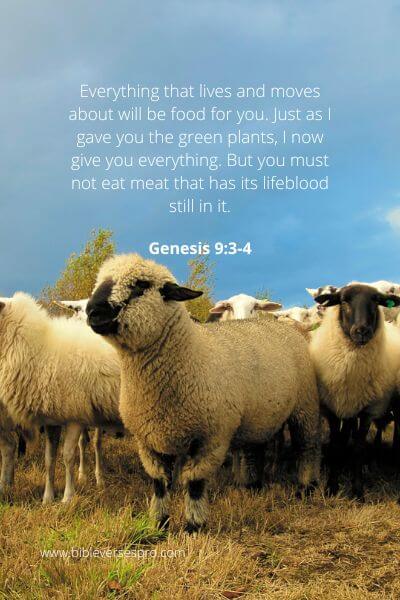 Genesis 9-3-4 - Consuming Blood.