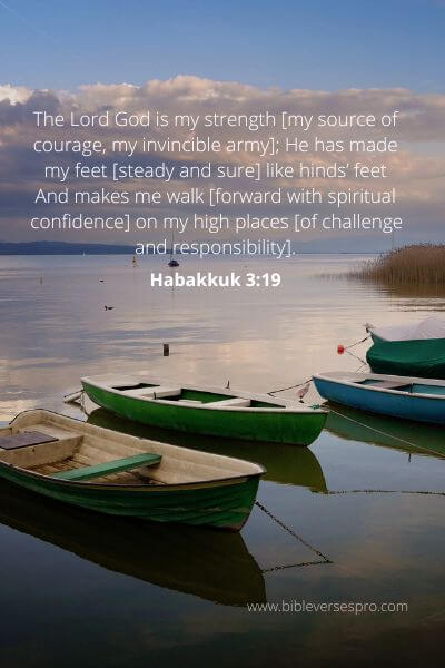 Habakkuk 3-19 - Spiritual Confidence.