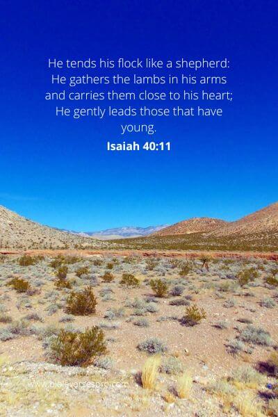 Isaiah 40-11 - Protection During Hard Times.