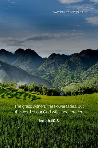 Isaiah 40_8