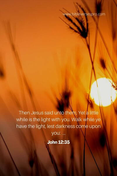 John 12_35