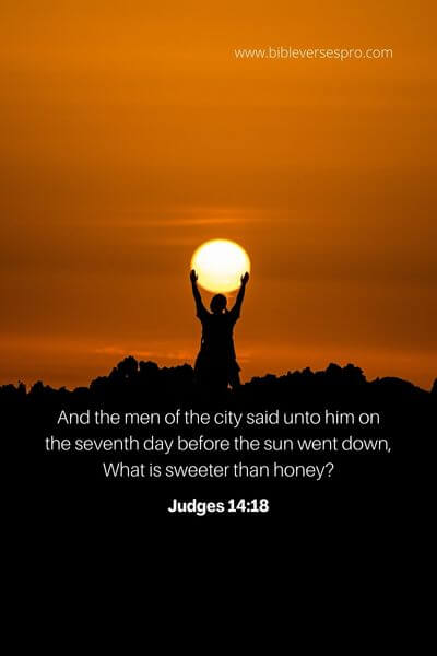 Judges 14_18