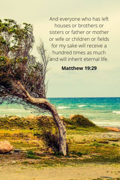 Matthew 19-29