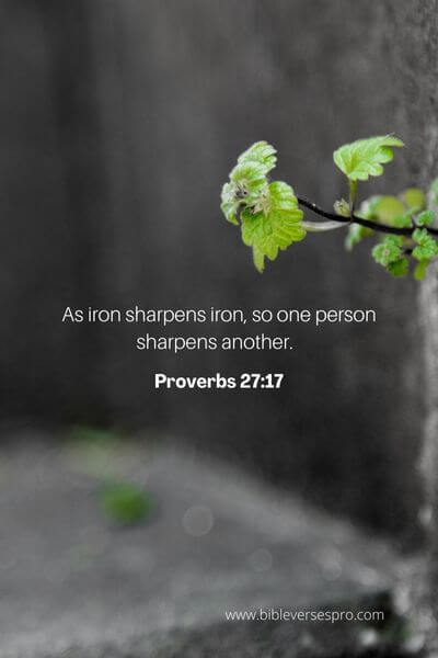 Proverbs 27_17