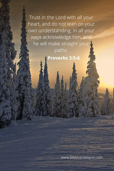 Proverbs 3-5-6 - Do not depend on just your understanding.