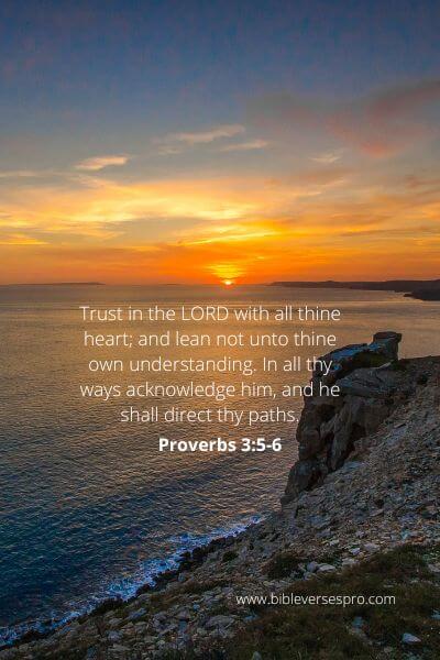 Proverbs 3-5-6 - God Shall Direct Your Path.