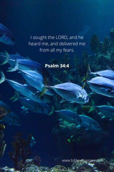 Psalm 34-4 - The deliverer of all your fears.