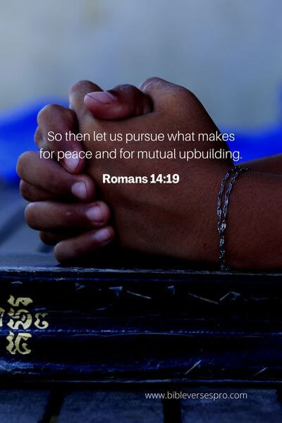 Romans 14_19