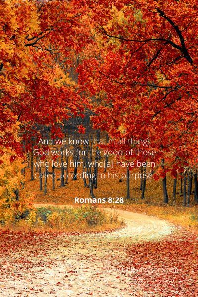Romans 8-28 - God'S Purpose.