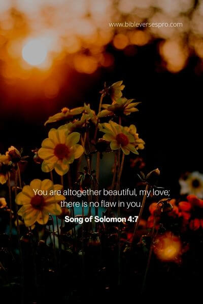 Song of Solomon 4_7