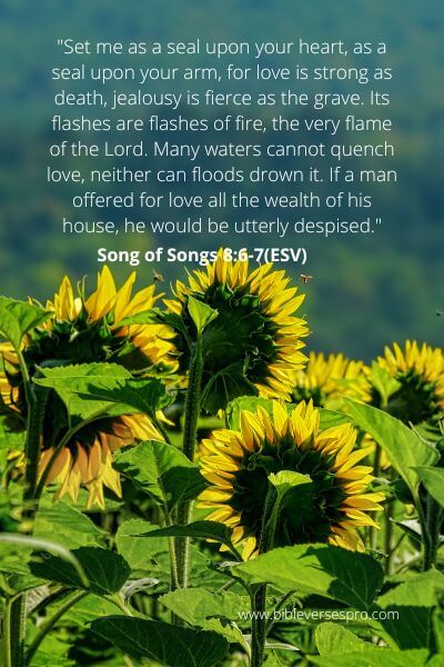 Song Of Solomon 8-6-7 - Jealousy And Love.