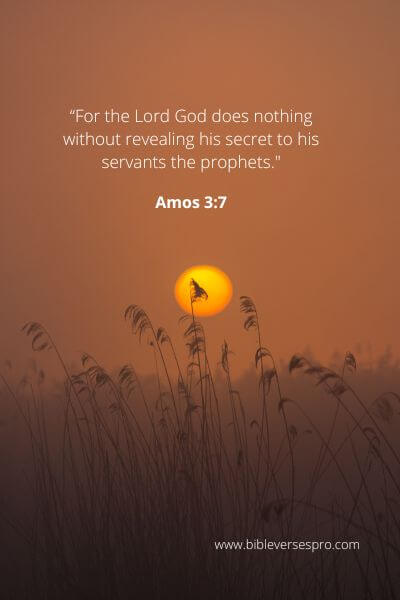 Amos 3-7 - Vision And Revelation.