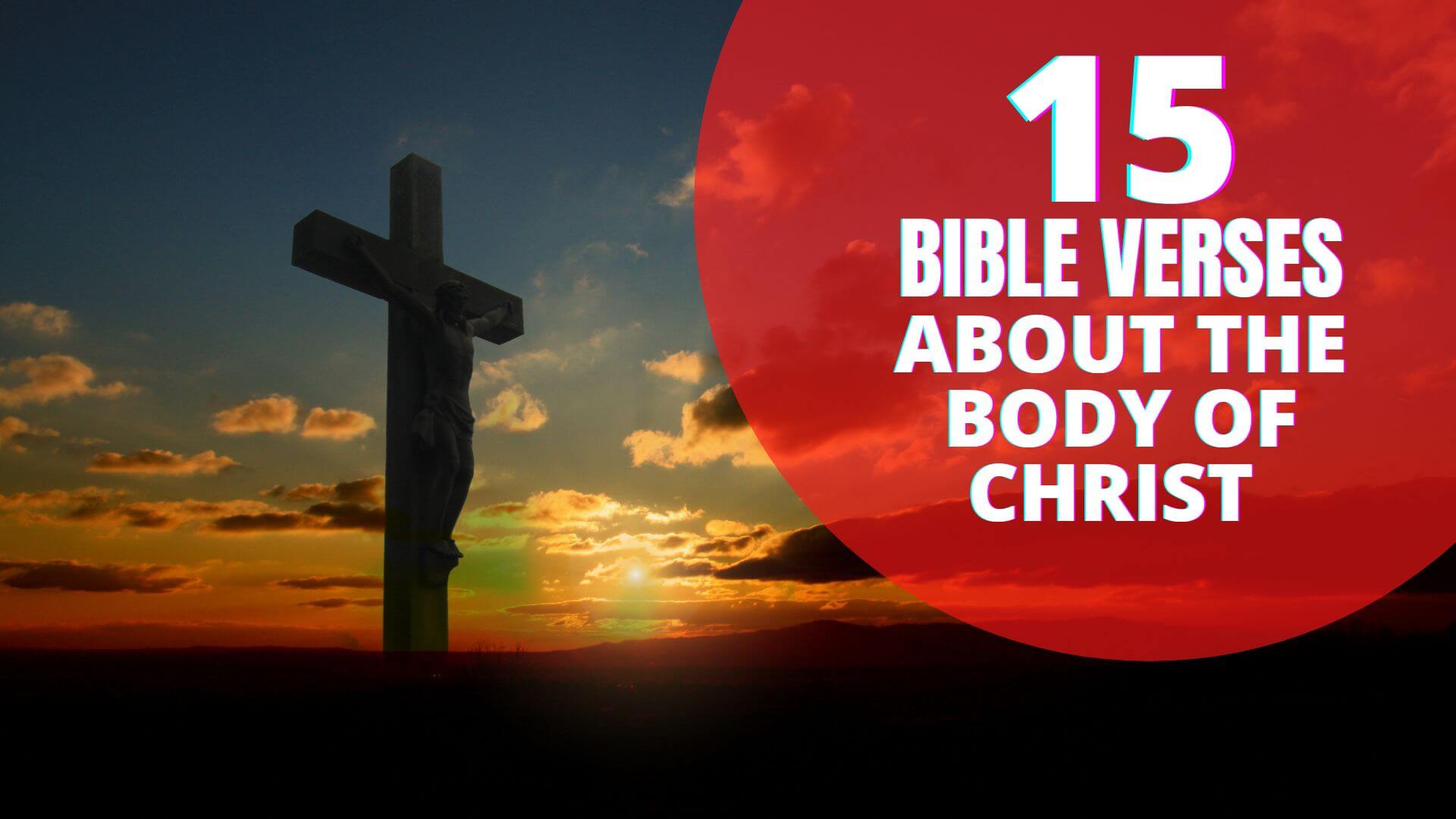 Bible Verses About Body Of Christ