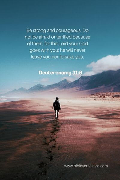 Deuteronomy 31_6 - At All Times, God Will Protect Us