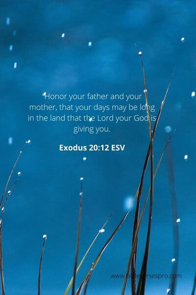 Exodus 20_12 - Honor Your Father
