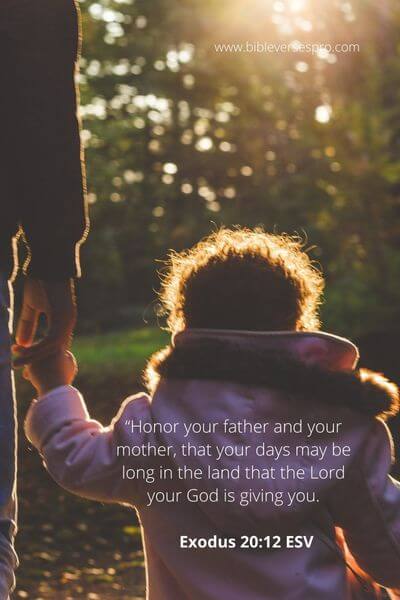 Exodus 20_12 - The Assurance Of A Long Life That Comes With Paying Tribute To One'S Parents