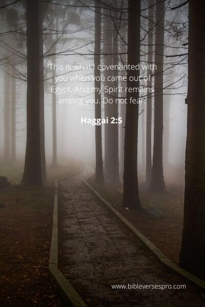 Haggai 2-5 - No Reason To Fear.