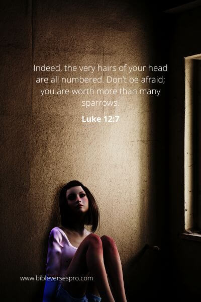Luke 12-7 - You Worth More.