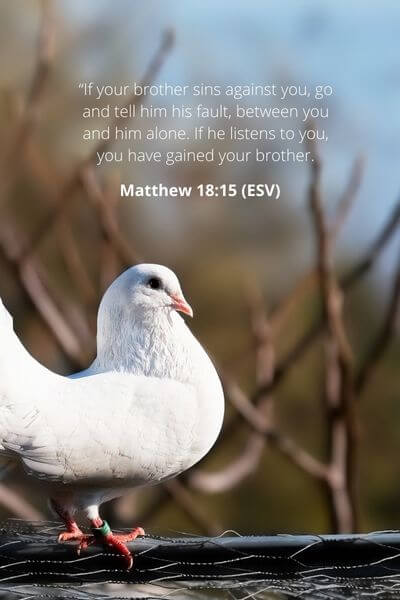 Matthew 18_15 - Be Humble