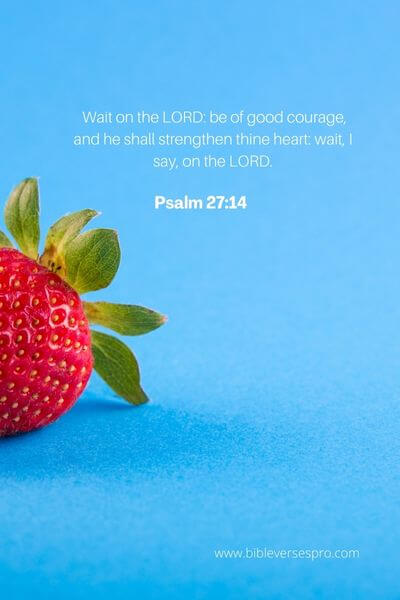 Psalm 27_14 -  Be Of Good Courage