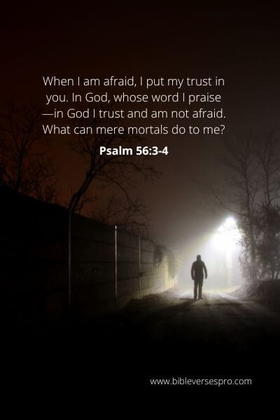 Psalm 56-3-4 - Put Your Trust In God.