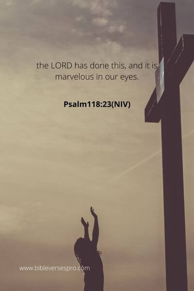 Psalm118_23