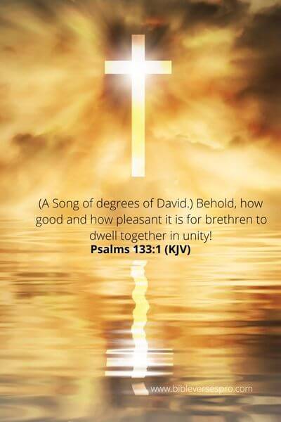 Psalms 133_1 - Unity doesn't mean uniformity