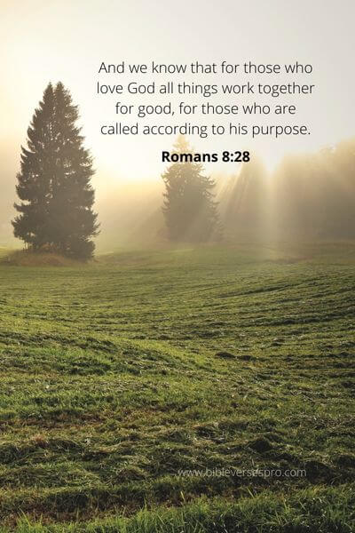 Romans 8_28 - Every Circumstance In Our Lives Has A Purpose
