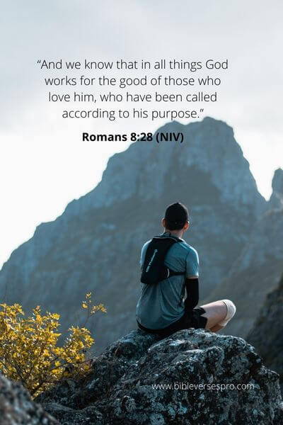Romans 8_28 - Persevere, And You Will Be Rewarded