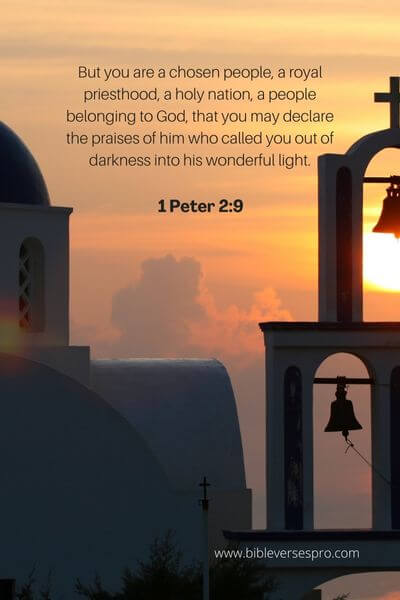 1 Peter 2_9 - Our Privileges In Christ