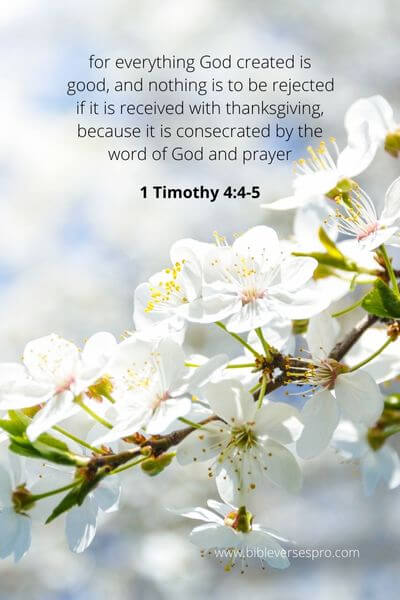 1 Timothy 4_4-5 - Everything God created is good
