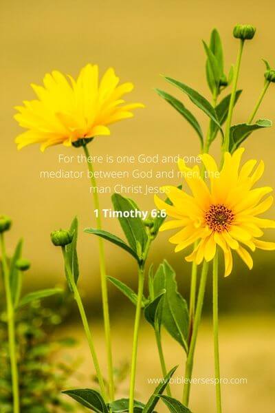 1 Timothy 6_6 - Godliness Is Greater Than Anything This World Can Off