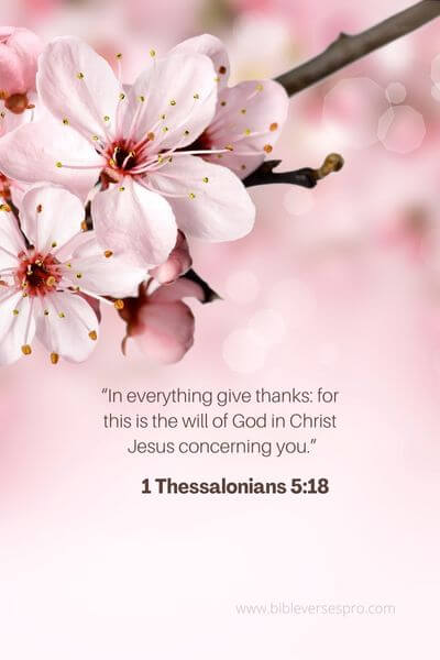 1Thessalonians 5_18 - Giving thanks for everything