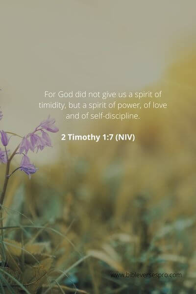 2 Timothy 1_7 - The Holy Spirit resides in us